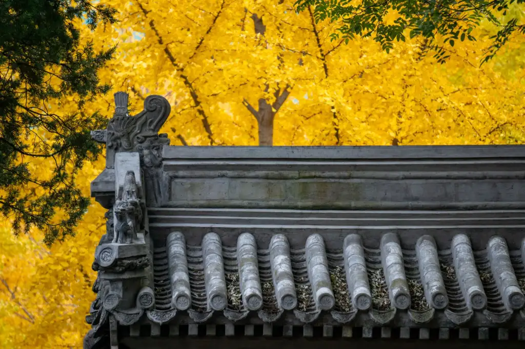 武汉软件开发技术服务方案：悠亿科技助力企业数字化转型实践